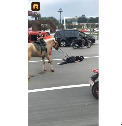 网红骑马爆料视频大全最新,揭秘马背上的精彩瞬间